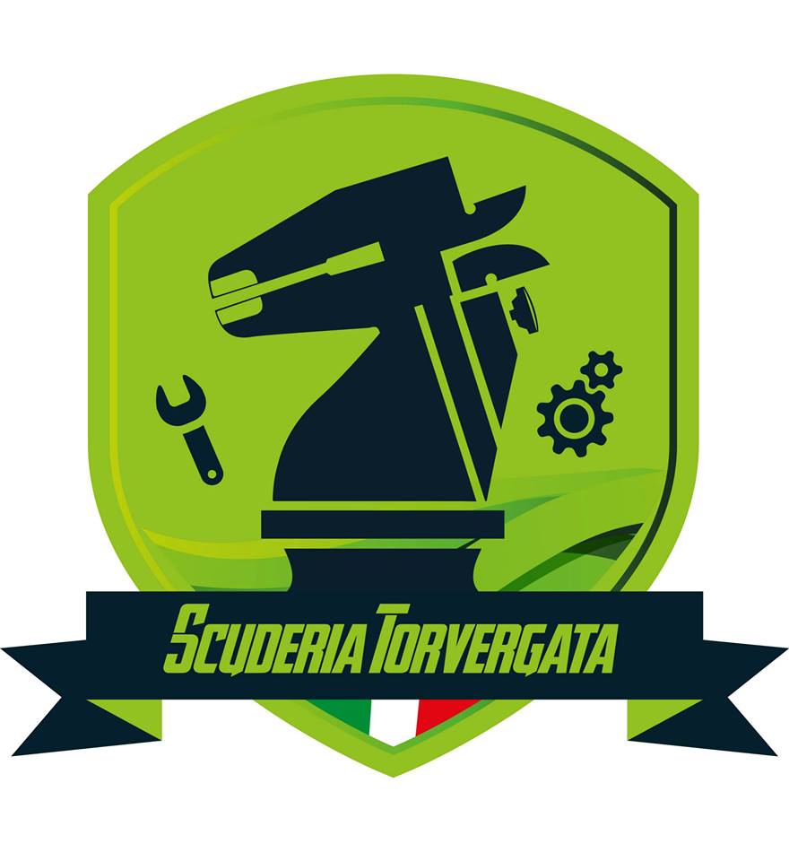 team logo