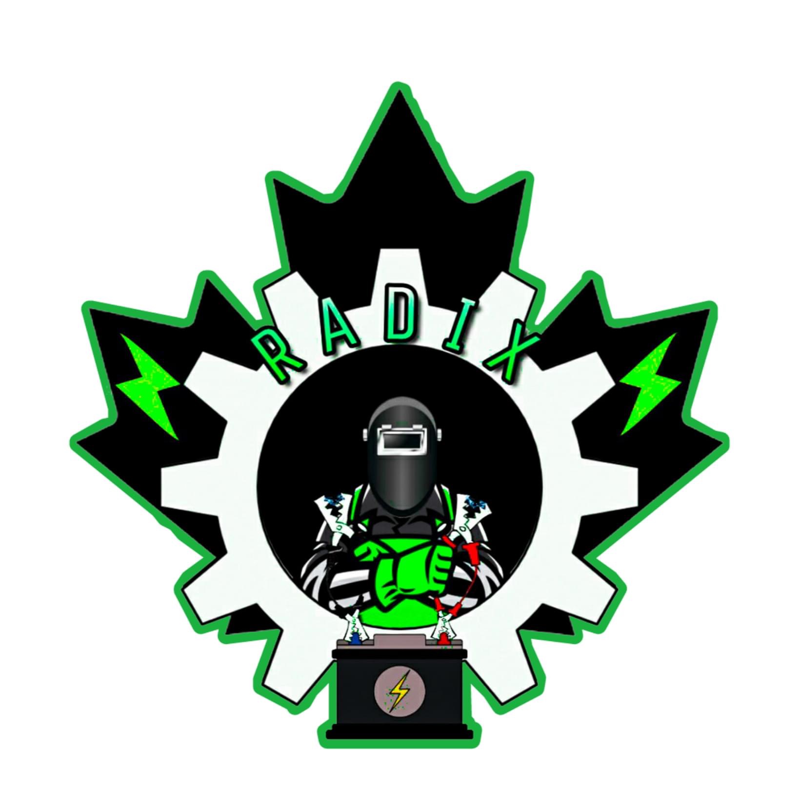 team logo