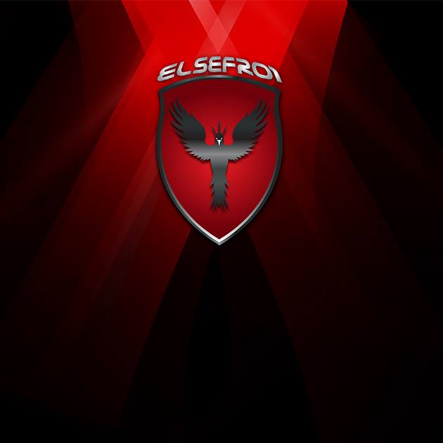 team logo