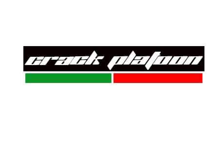 team logo