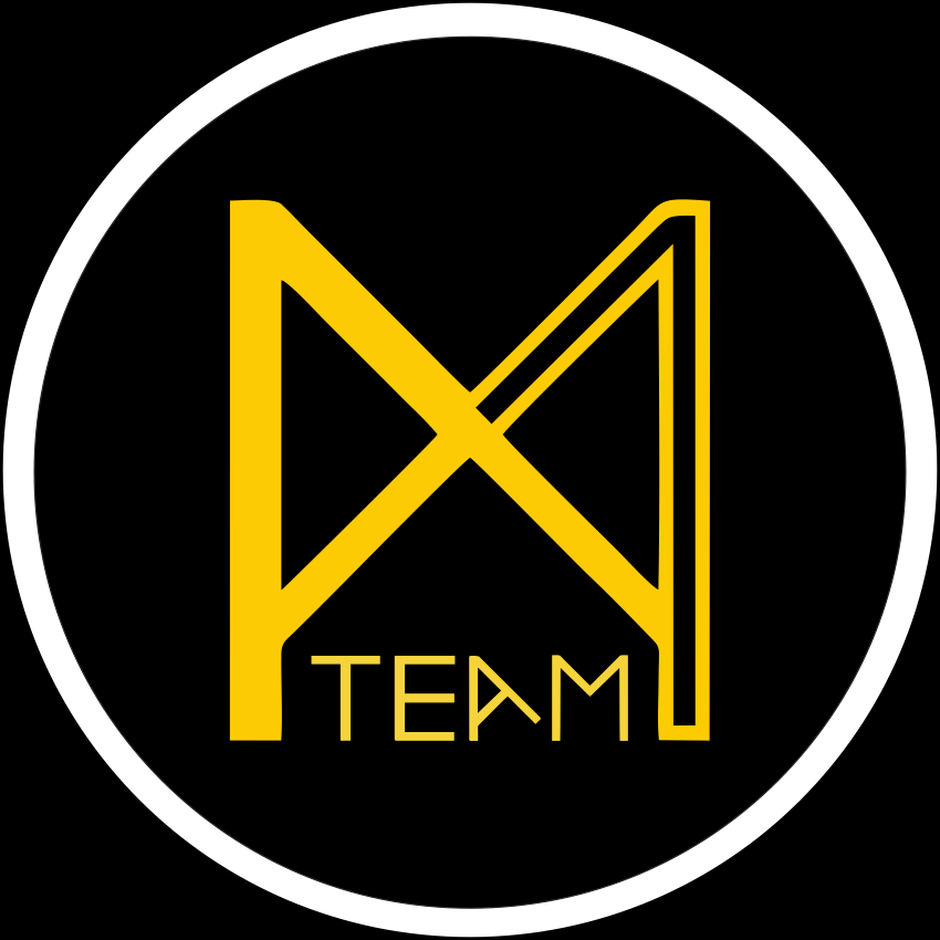 team logo