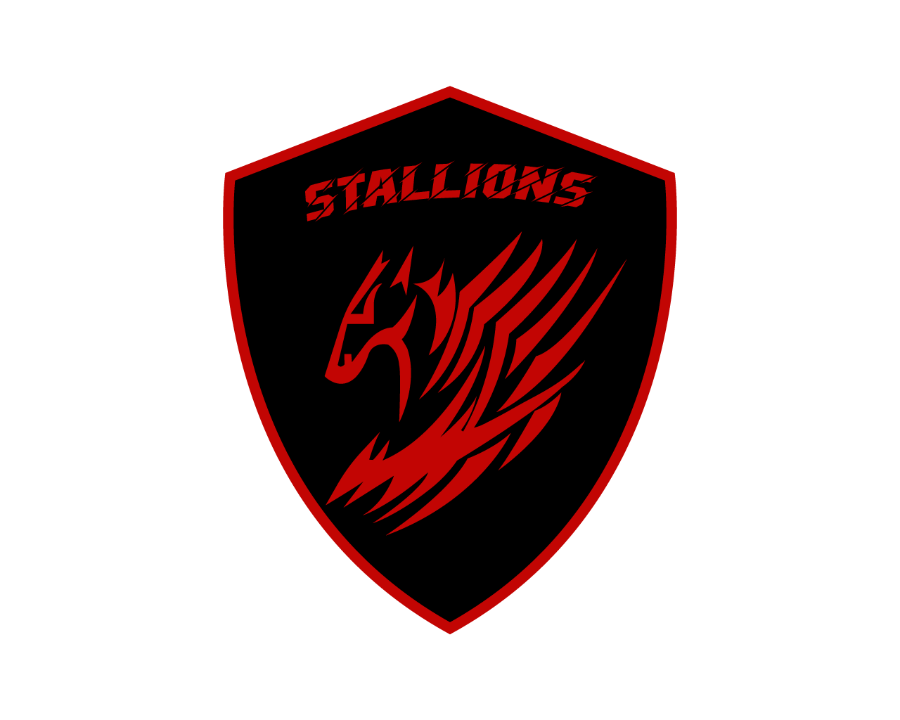team logo