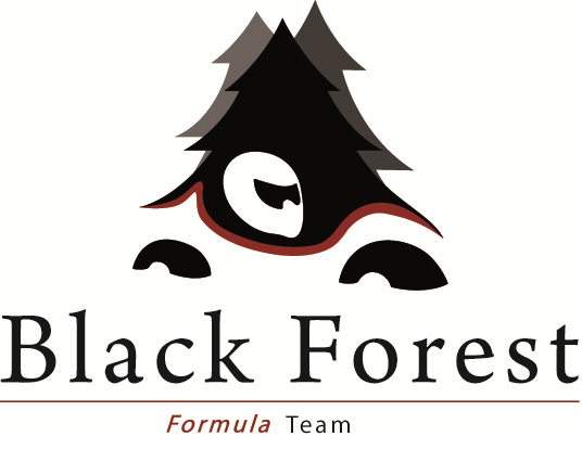 team logo