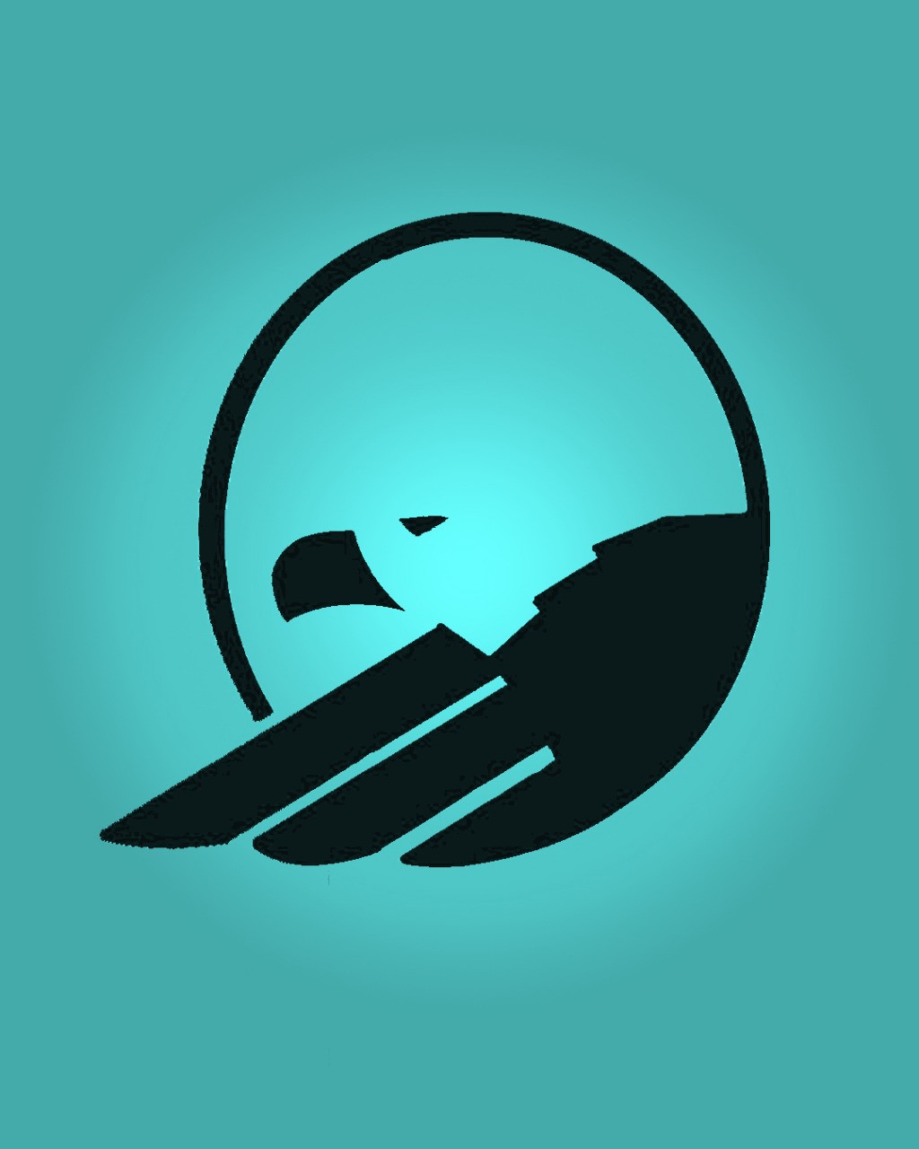 team logo
