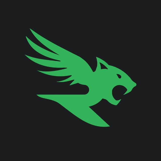 team logo