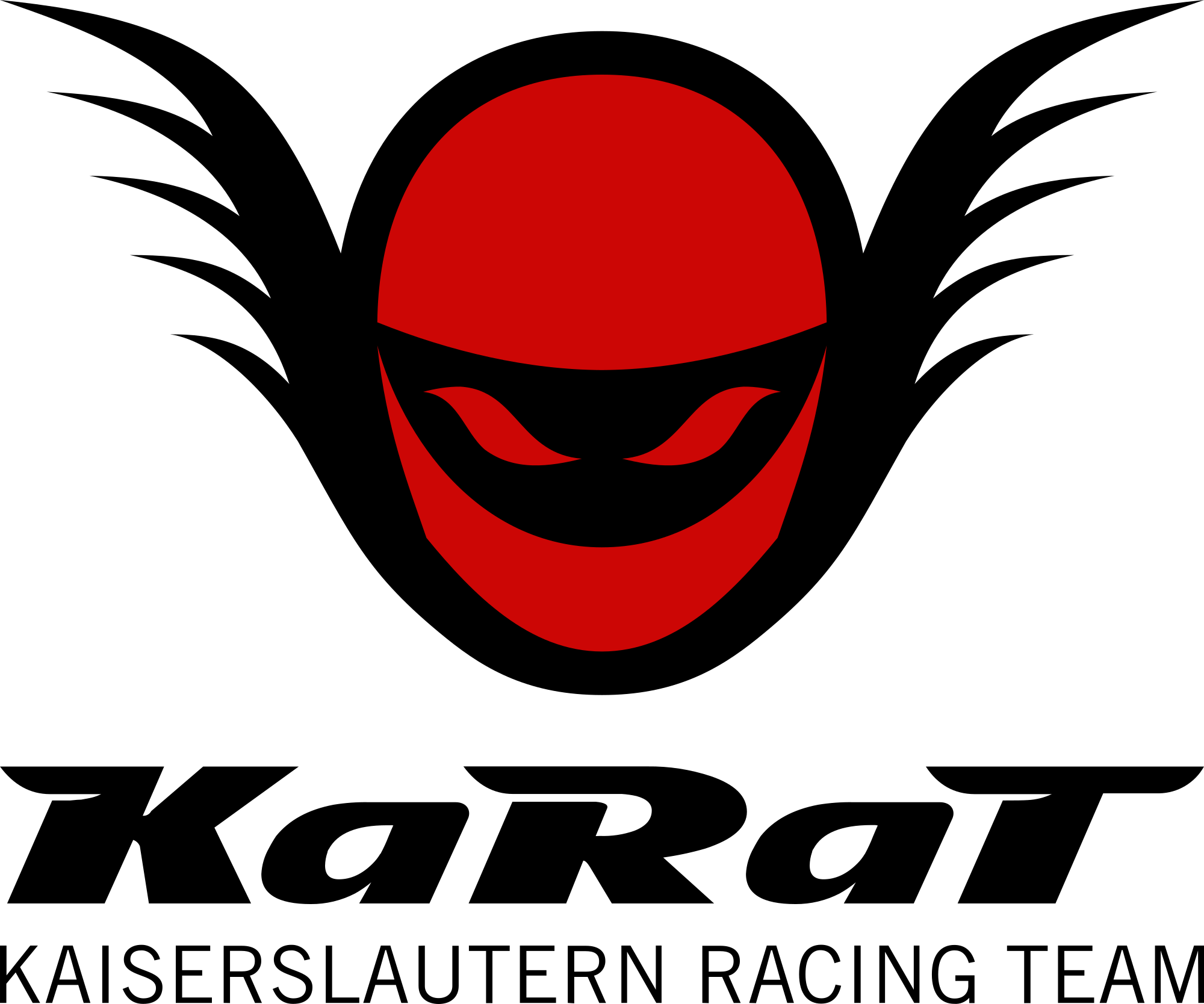 team logo