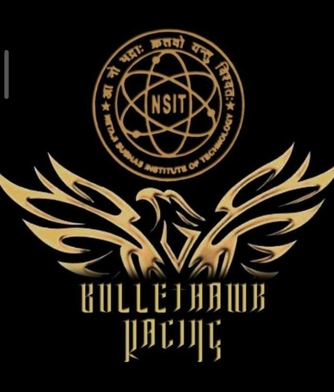 team logo