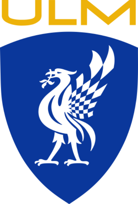 team logo