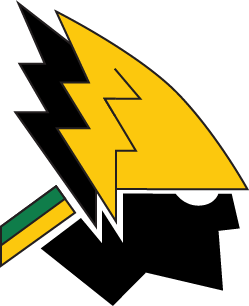 team logo
