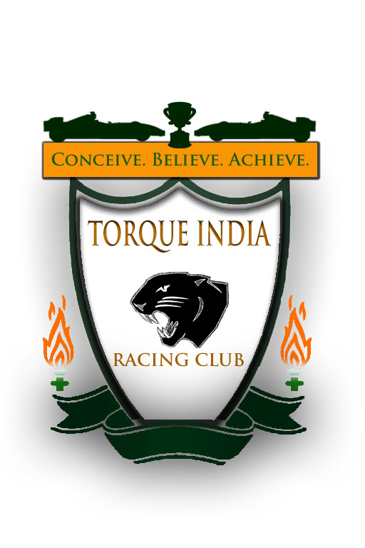 team logo