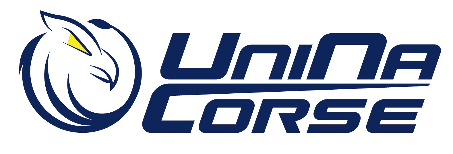 team logo