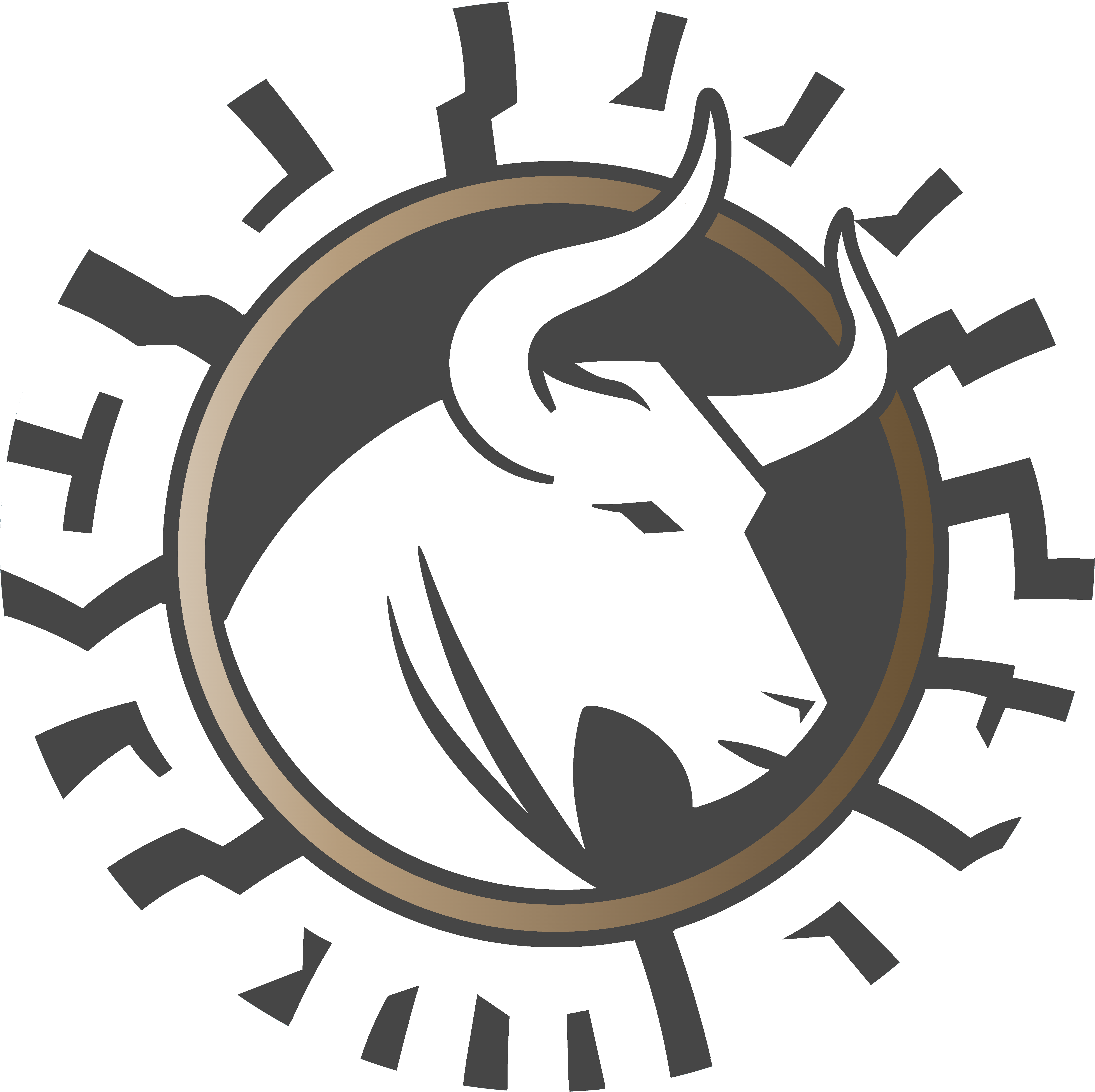 team logo