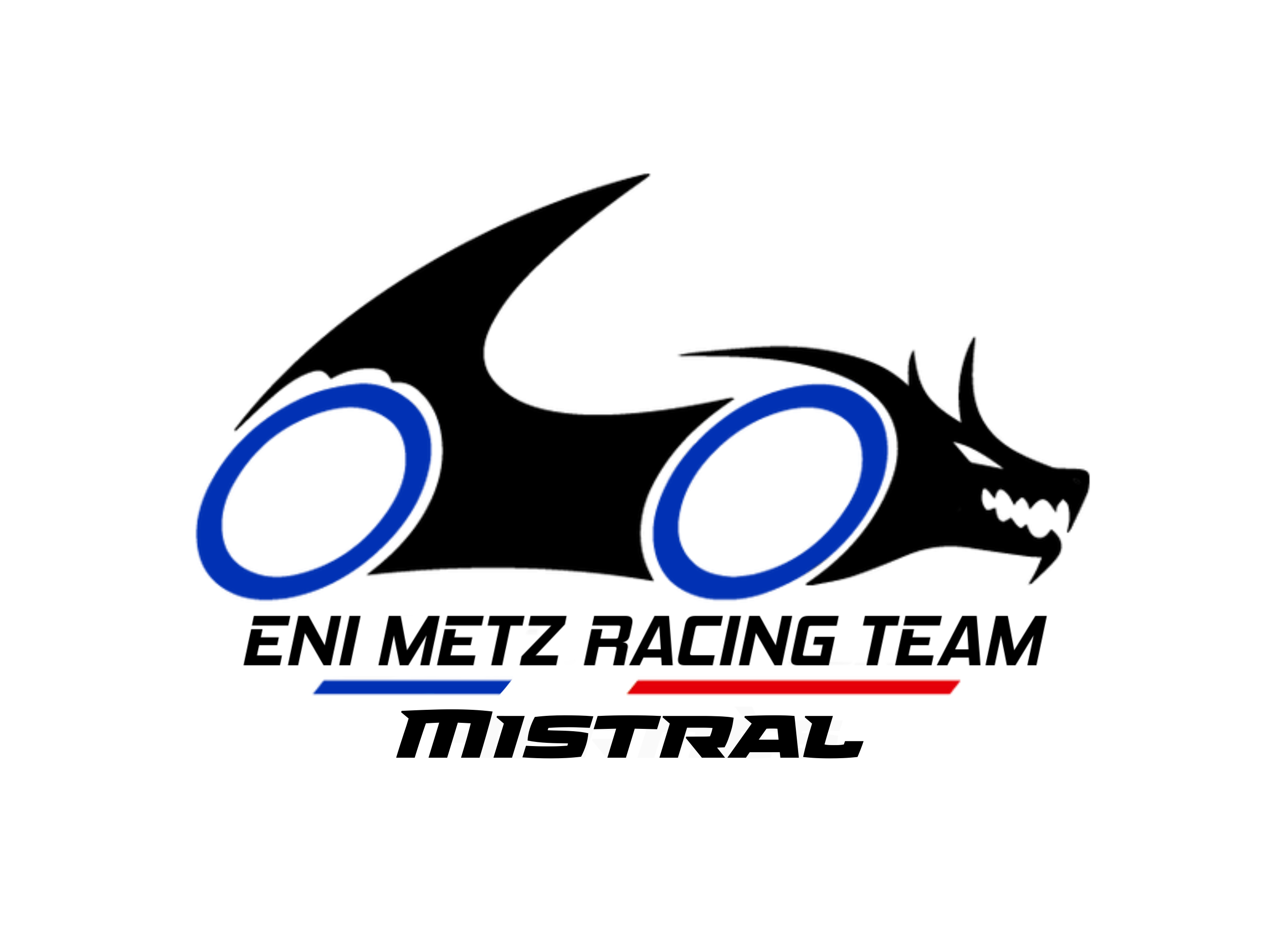 team logo