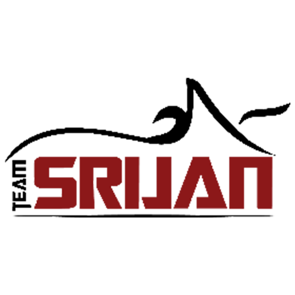 team logo
