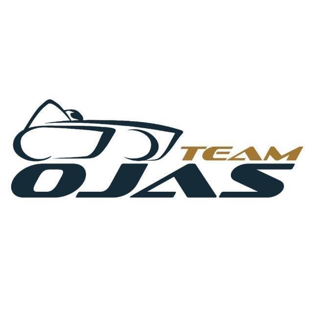 team logo
