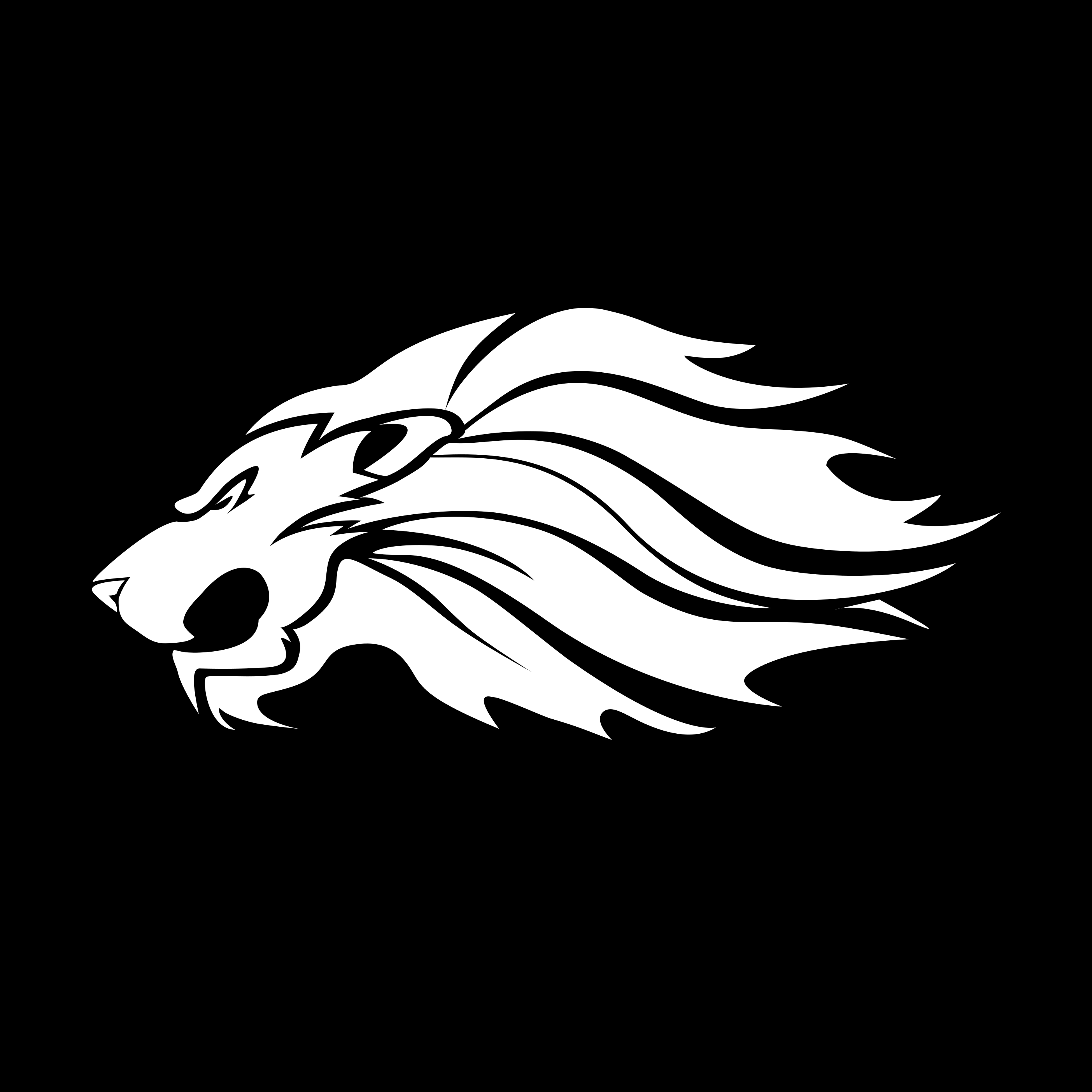 team logo